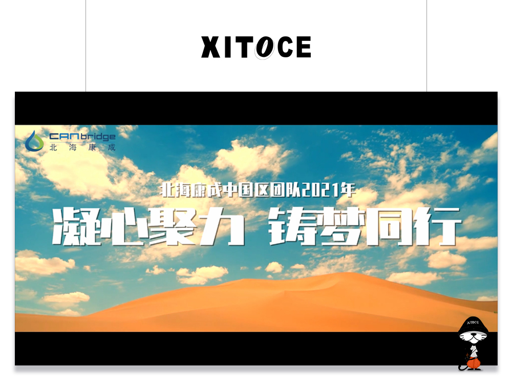 XITOCE 弦拓文化&北(běi)海康成 品牌精神宣傳視頻(pín)